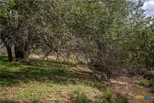 546 PR Goose Creek Ln, Jourdanton, TX 78026 - Photo 38