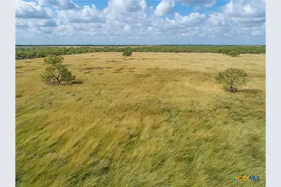 546 Pr Goose Creek Lane, Jourdanton, TX 78026 - Photo 6