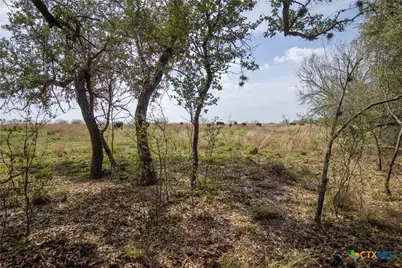 546 Pr Goose Creek Lane, Jourdanton, TX 78026 - Photo 36