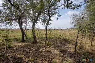 546 PR Goose Creek Ln, Jourdanton, TX 78026 - Photo 36