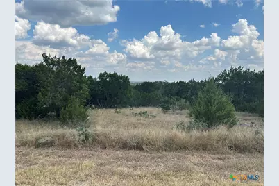 339 Valley Lodge, New Braunfels, TX 78132 - Photo 1