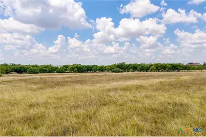 1250 County Road 311, Jarrell, TX 76537 - Photo 12