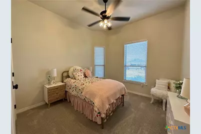 226 Sand Lilly Drive, Temple, TX 76502 - Photo 16