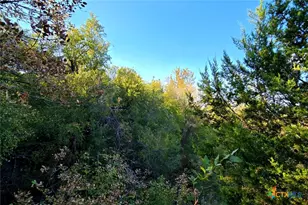 5684 Lindemann Rd, Bartlett, TX 76511 - Photo 34