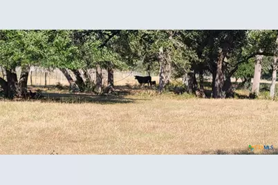 1167 County Road 380, Hallettsville, TX 77964 - Photo 20