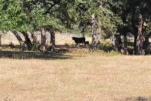 1167 Co Rd 380, Hallettsville, TX 77964 - Photo 20