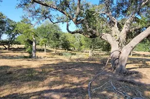 1167 Co Rd 380, Hallettsville, TX 77964 - Photo 18