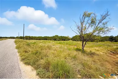 186 Becky Lane, Bertram, TX 78605 - Photo 4