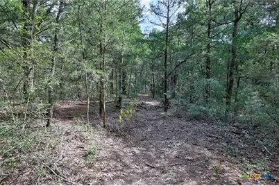 128 Barras Road, Paige, TX 78659 - Photo 2