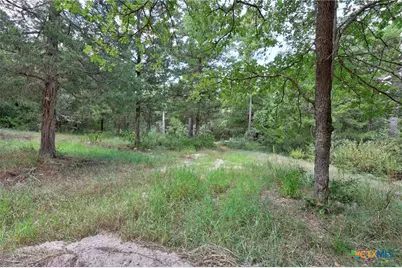 128 Barras Road, Paige, TX 78659 - Photo 6