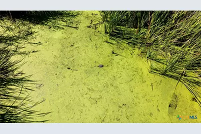 000 Sh 316 105.0 Acres, Port Lavaca, TX 77979 - Photo 16