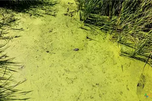 000 Sh 316 105 0 Acres, Port Lavaca, TX 77979 - Photo 16