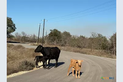 Tbd King Ranch Trail, Copperas Cove, TX 76522 - Photo 2
