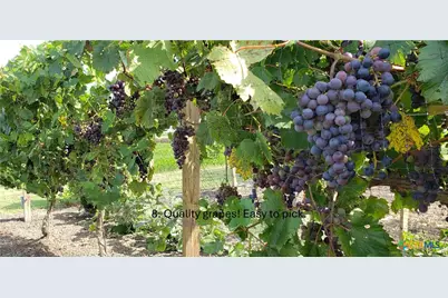 847 Oliver Road, Victoria, TX 77904 - Photo 2