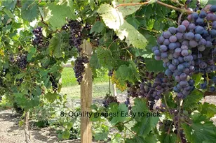 847 Oliver Rd, Victoria, TX 77904 - Photo 2