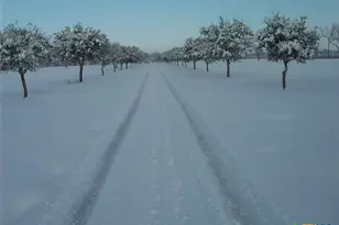 847 Oliver Rd, Victoria, TX 77904 - Photo 46