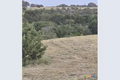 318 Grand Canyon Drive, Oglesby, TX 76561 - Photo 4