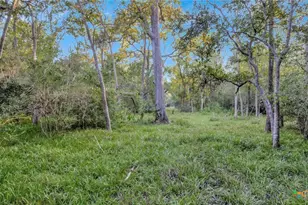 2698 Co Rd 284, Edna, TX 77957 - Photo 10