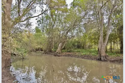 2698 County Road 284, Edna, TX 77957 - Photo 6