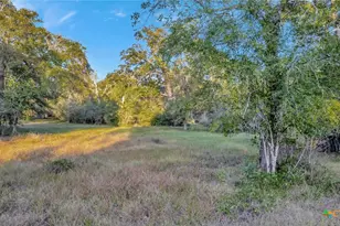 2698 Co Rd 284, Edna, TX 77957 - Photo 12