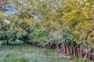 2698 Co Rd 284, Edna, TX 77957 - Photo 16