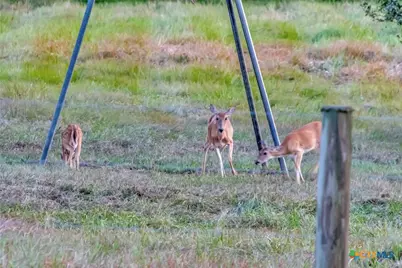 2698 County Road 284, Edna, TX 77957 - Photo 14