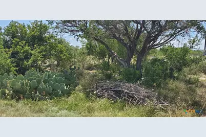 1860 Rocky Ridge Road, Uvalde, TX 78801 - Photo 16