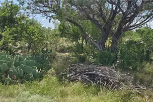 1860 Rocky Ridge Rd, Uvalde, TX 78801 - Photo 16