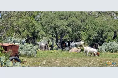 1860 Rocky Ridge Road, Uvalde, TX 78801 - Photo 22