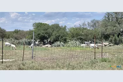 1860 Rocky Ridge Road, Uvalde, TX 78801 - Photo 18