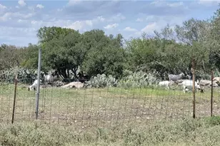 1860 Rocky Ridge Rd, Uvalde, TX 78801 - Photo 18