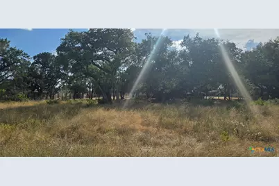 433 Lighthouse, Canyon Lake, TX 78133 - Photo 2