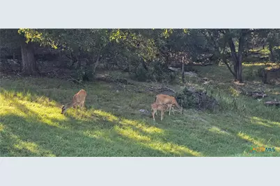 15939 Salado Drive, Temple, TX 76502 - Photo 10