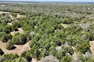 Tbd Rosanky Rd, Flatonia, TX 78941 - Photo 20