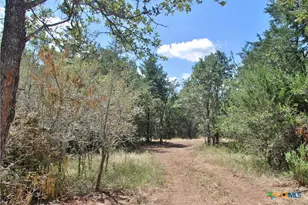 Tbd Rosanky Rd, Flatonia, TX 78941 - Photo 12