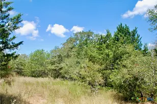 Tbd Rosanky Rd, Flatonia, TX 78941 - Photo 16