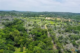 23601 Old Ferry Rd, Spicewood, TX 78669 - Photo 10