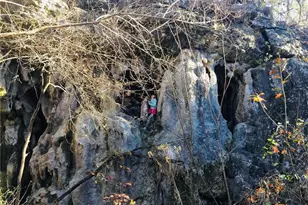 23601 Old Ferry Rd, Spicewood, TX 78669 - Photo 32