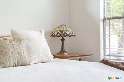 521 Buena Vista Drive, Georgetown, TX 78633 - Photo 30