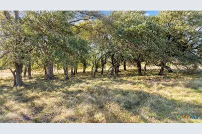 350 Yellowstone Drive, Oglesby, TX 76561 - Photo 2