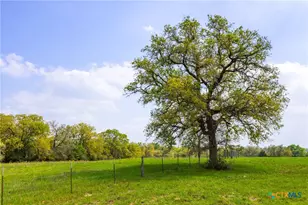 243 Co Rd 442, Harwood, TX 78632 - Photo 8