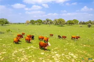 243 Co Rd 442, Harwood, TX 78632 - Photo 6