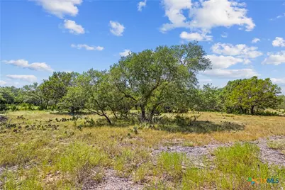 Lot 170 Heartleaf Drive, Lampasas, TX 76550 - Photo 10