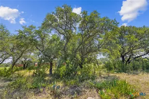 Lot 170 Heartleaf Dr, Lampasas, TX 76550 - Photo 12