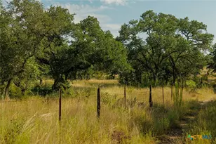 3067 Ranch Road 1888, Blanco, TX 78606 - Photo 44