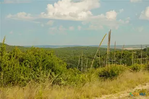 3067 Ranch Road 1888, Blanco, TX 78606 - Photo 38