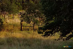 3067 Ranch Road 1888, Blanco, TX 78606 - Photo 32