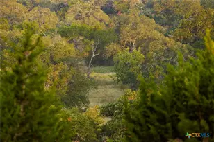 3067 Ranch Road 1888, Blanco, TX 78606 - Photo 28