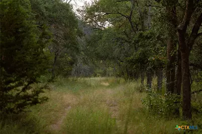 3067 Ranch Road 1888, Blanco, TX 78606 - Photo 34