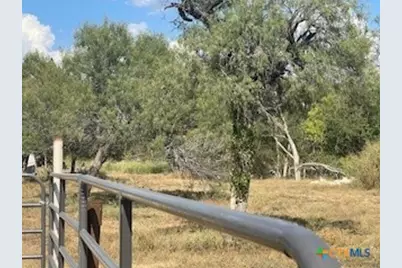 556 Krueger Canyon, New Braunfels, TX 78132 - Photo 4